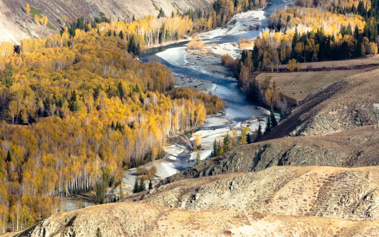 新疆，领导亲临，共话友谊盛典
