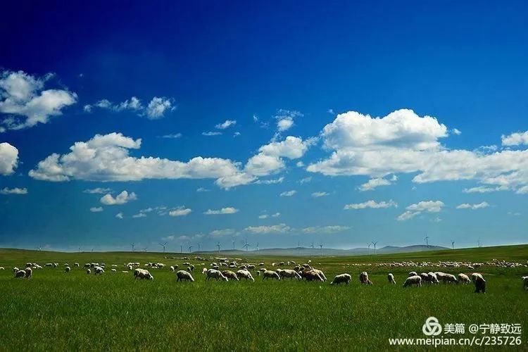 呼伦贝尔，草原之韵，美不胜收！