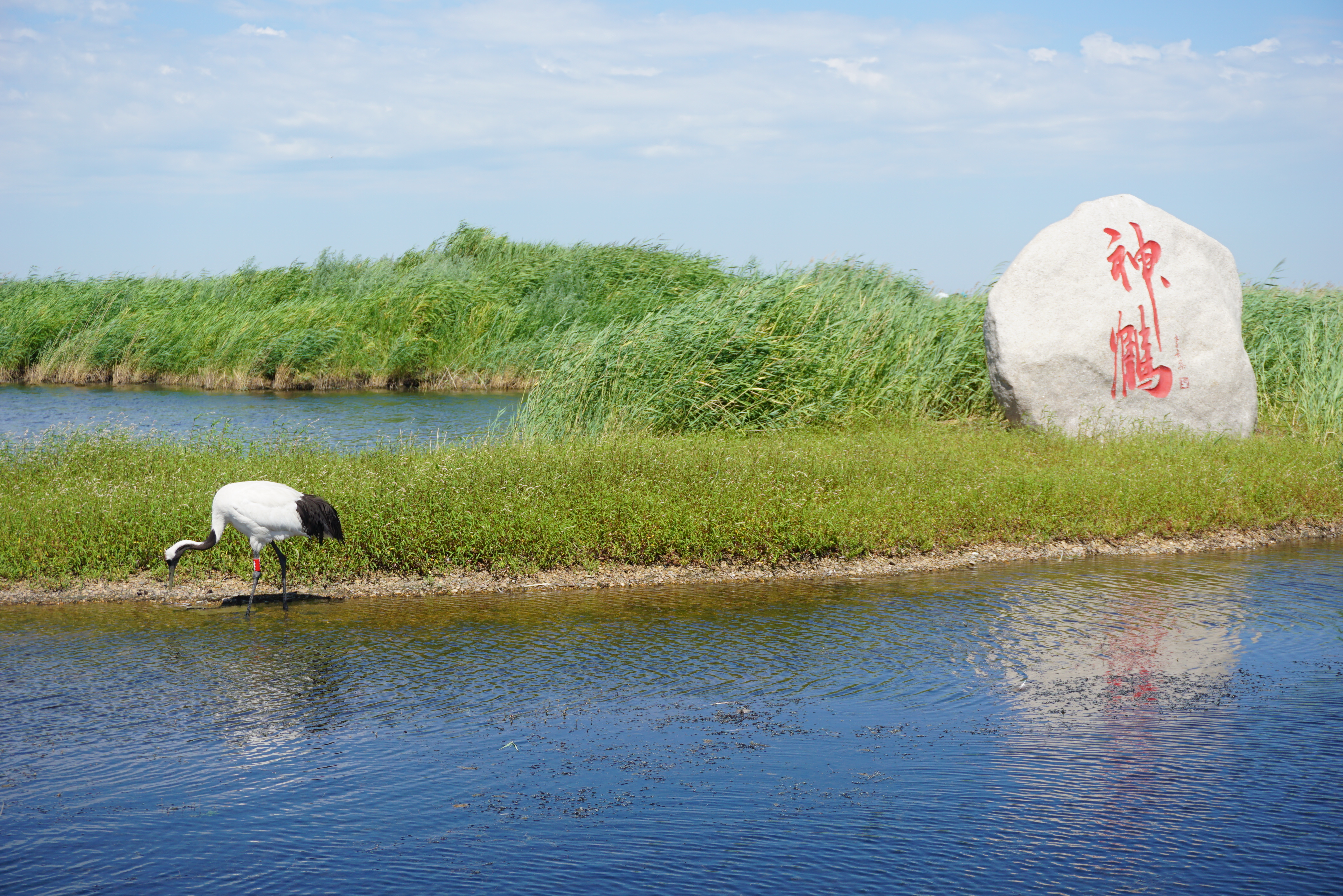 探寻运城,千年古韵与现代魅力的旅游文化之旅